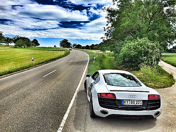Audi, Cars, Back View, Rear View, V10, R8 HD wallpaper