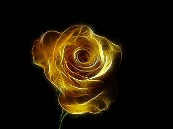 Portrait, artwork, yellow rose HD wallpaper