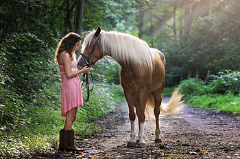 A young woman in a pink dress with a horse on a sunlit forest pathway. HD wallpaper