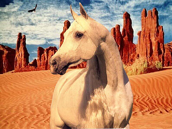 The Desert, desert, nature, arabians, animals HD wallpaper