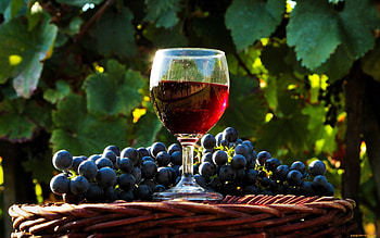 here is to all my friends, wine, yummy, drink, stilllife HD wallpaper