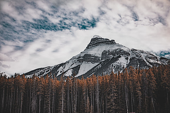 Nature, Trees, Sky, Mountain, Bottom View HD wallpaper