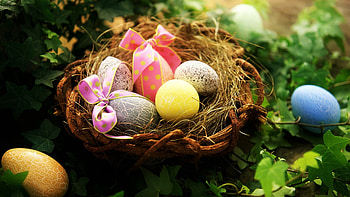 Easter , Colorful designs, Holiday cheer, Festive celebration HD wallpaper