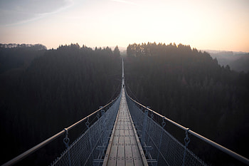 Nature, Forest, Fog, Bridge, Suspension Bridge HD wallpaper