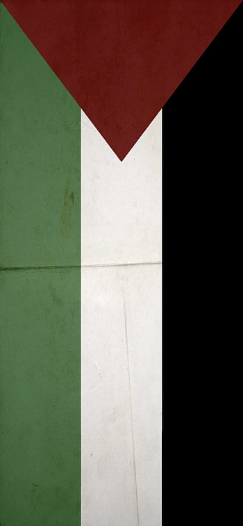 palastine flag, Palestine, paper, middle east, Palestine HD phone wallpaper