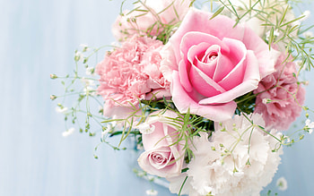 Plants, Flowers, Roses, Bouquets HD wallpaper