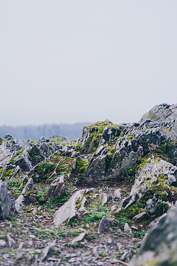 Nature, Stones, Rock, Moss, Rugged, Uneven, Rocky, Stony HD phone wallpaper