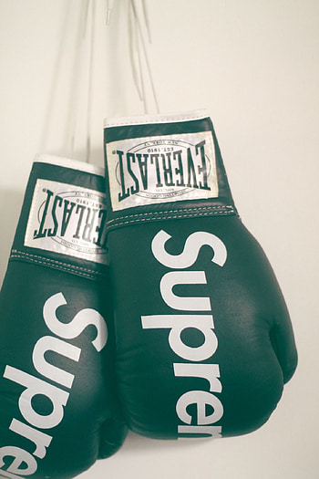 Everlast, Boxing Gloves HD phone wallpaper