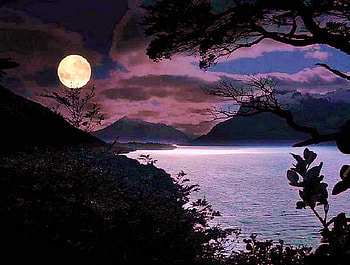 Moonlight on the bay, night, moonlight, bay, clouds, trees, sky, mountains HD wallpaper