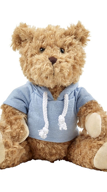 Teddy Bear Live, Aesthetic HD phone wallpaper