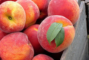 Fruits, Food, Leaves, Peaches, Box, Fresh HD wallpaper