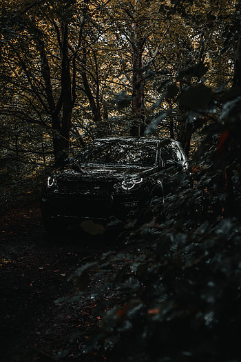 Land Rover, Cars, Forest, Car, Suv, Land Rover Discovery 3 HD phone wallpaper