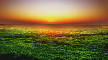 Captivating sunset with vivid colors over the grass fields near Be'er Sheva, Israel. HD wallpaper
