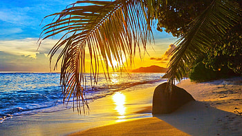 Seychelles Sunset, sea, palm tree, clouds, colors, sky, rocks, sun, beach HD wallpaper