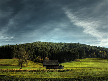 Landscape, Houses, Fields HD wallpaper