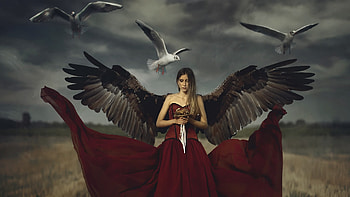 Women, pose, model, red HD wallpaper