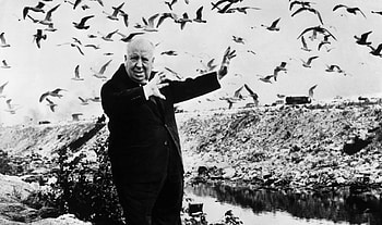 Alfred Hitchcock, Witty advertising, Master of suspense HD wallpaper