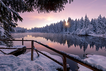 Winter Snow Trees Nature Outdoors, winter, snow, trees, nature, lake HD wallpaper