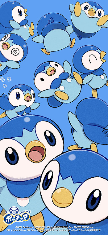 Piplup, pokemon, Penguin HD phone wallpaper