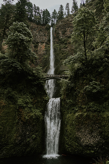 Nature, Water, Trees, Waterfall, Break, Precipice, Bridge HD phone wallpaper