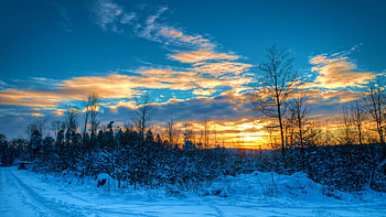 Lake in Winter, snow, landscape, trees, clouds, sky, ice, sunset, reflections HD wallpaper