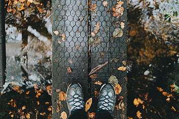 Nature, Autumn, Rain, Legs, Foliage HD wallpaper