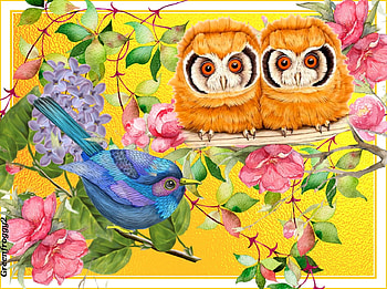 BIRD COLLAGE, ART, COLLAGE, ABSTRACT, BIRD HD wallpaper