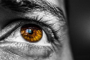 Detailed close-up of a human eye, showcasing an amber-colored iris with architectural reflection. HD wallpaper