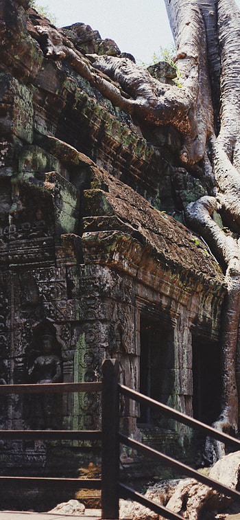 Angkor Wat, Spiritual pilgr, Khmer Empire, Historical wonders HD phone wallpaper
