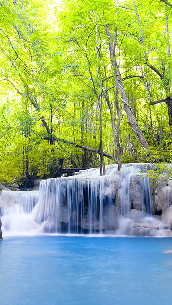 Beautiful For, Forest Waterfall HD phone wallpaper