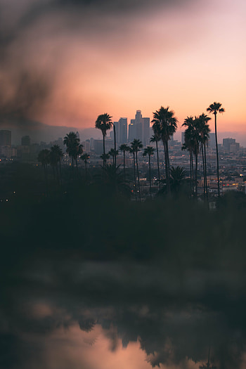 Cities, Twilight, Palms, City, Dark, Overview, Review, Dusk, View HD phone wallpaper