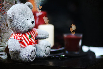 Hearts, Love, Candles, Miscellanea, Miscellaneous, Bear, Nice, Nicely, Teddy HD wallpaper