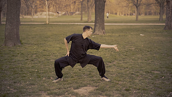 Bajiquan, Martial Arts, Training, Techniques HD wallpaper