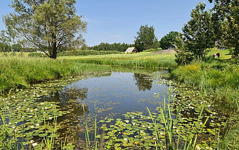 Summer in Latvia, summer, house, trees, Latvia, pond HD wallpaper
