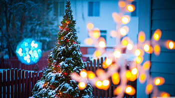 Fairy Lights, Merry Christmas, , Festive celebration HD wallpaper