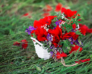 soft, flowers, abstract, red HD wallpaper