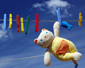 plush cat, toy, cat, sky, funny HD wallpaper