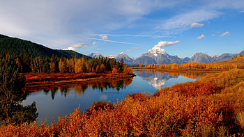Autumn River, river, trees, autumn, sky, nature, forest HD wallpaper