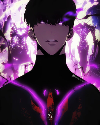 SUNG JIN WOO, shadow, solo, leveling, onepiece, monarch, naruto, dragonball, manga, manwha, anime HD phone wallpaper