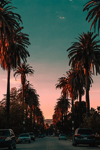 Los Angeles, California HD phone wallpaper