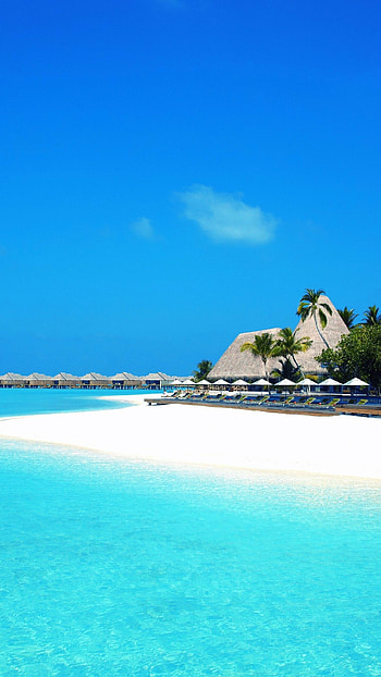 Man-made resort, Tropical paradise, Luxury escape, Stunning views HD phone wallpaper