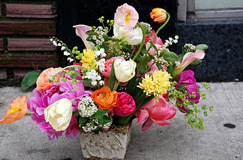 Flowers, Tulips, Peonies, Lily Of The Valley, Bouquet, Ranunculus, Ranunkulus, Diversity, Variety, Tea Tree HD wallpaper