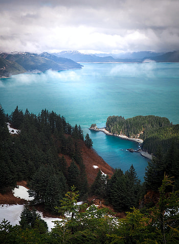 Nature, Trees, Sky, Lake, Coast, Fog HD phone wallpaper