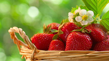 ❤️, Flowers, Fruits, Basket, Berries HD wallpaper