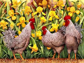 The Debate Team F, art, beautiful, illustration, artwork, wide screen, painting, roosters, chickens, irises, flowers, farm animals HD wallpaper