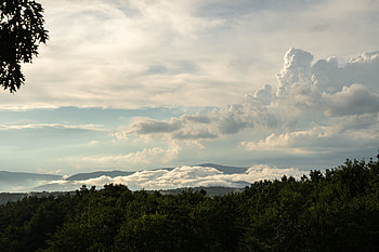 Nature, Trees, Sky, Clouds, Bush HD wallpaper