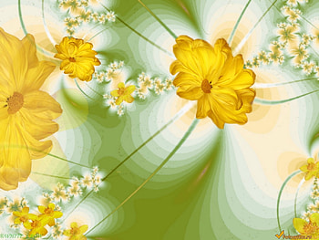 Plants, Flowers HD wallpaper