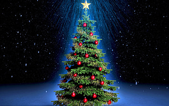 Plants, Holidays, Trees, New Year, Objects HD wallpaper