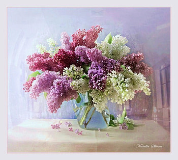Lilac trio, table, pink, white, lavender, lilacs, vase, arrangement HD wallpaper