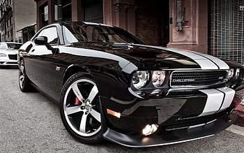 Dodge Challenger White Stripes HD wallpaper